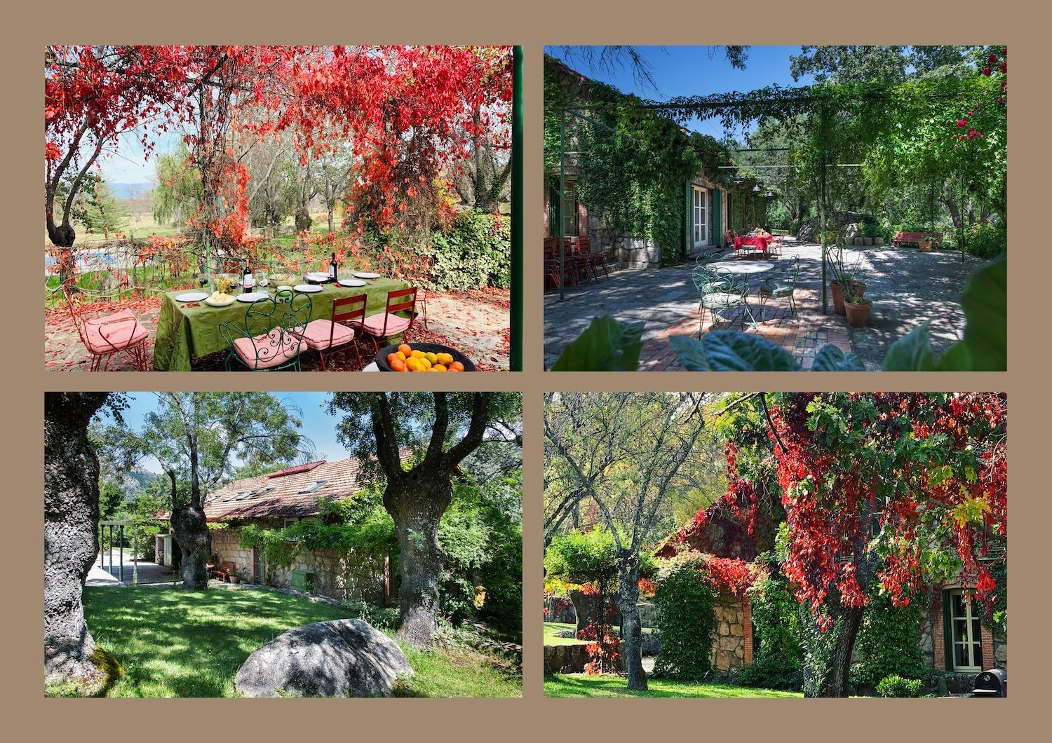 RETIRO RAÍCES KATIA 27-29 NOVIEMBRE 2026 - Imagen 6